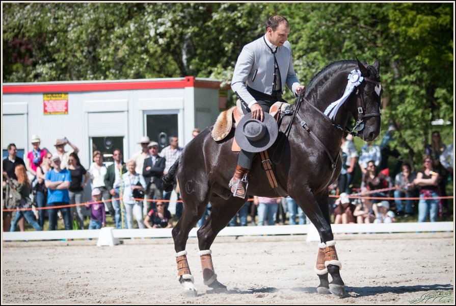 Pferd International 200